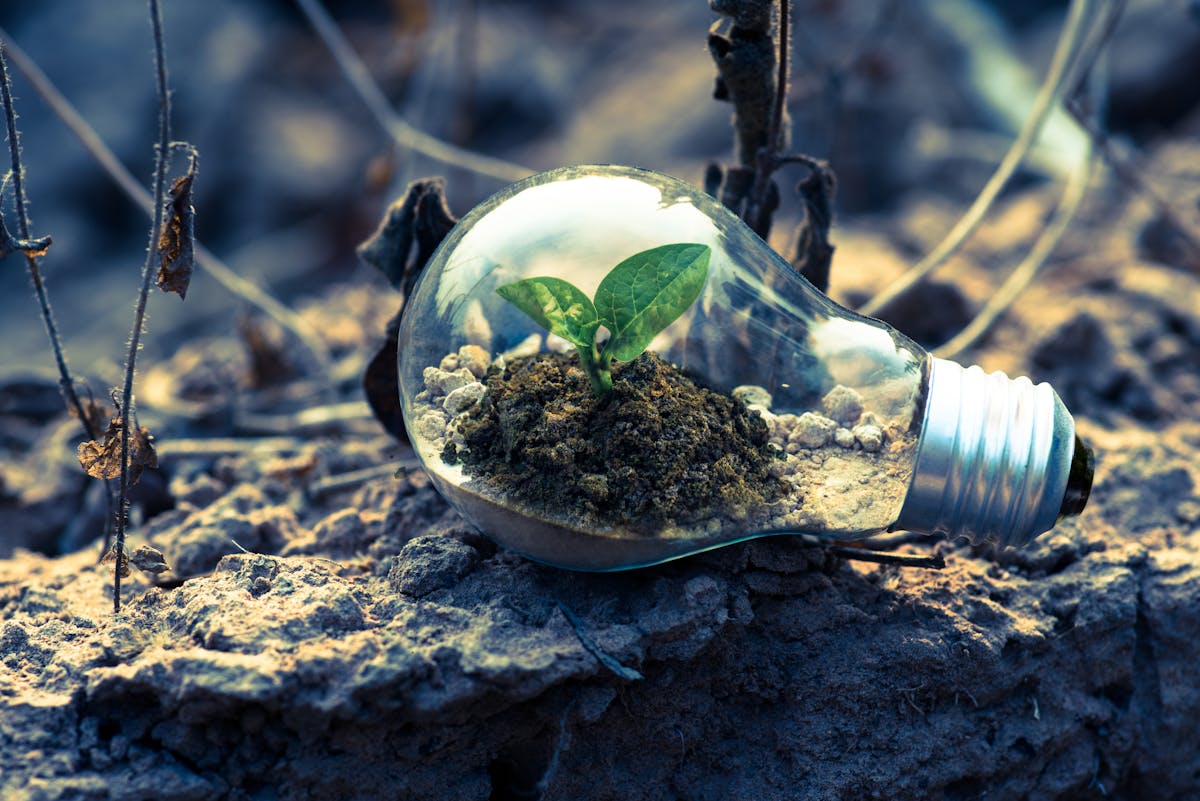 Responsible & Sustainable Investment